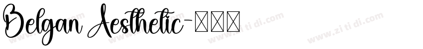 Belgan Aesthetic字体转换